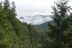 PICTURES/Marymere Falls and Hurricane Ridge Road/t_Mist Rising3.JPG